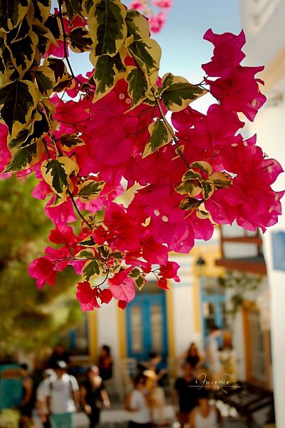 The village of Lefkes on the Greek Island Paros