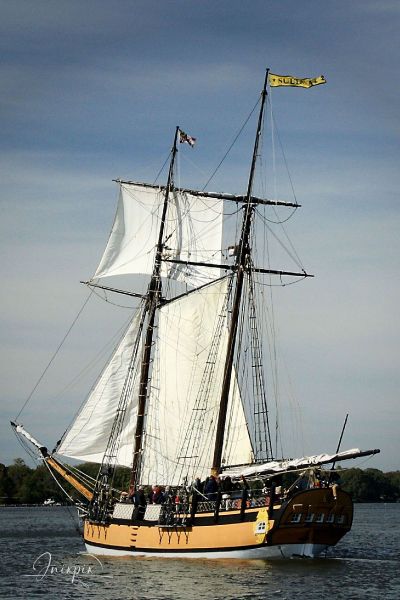 Chestertown waterfront Downrigging Sultana