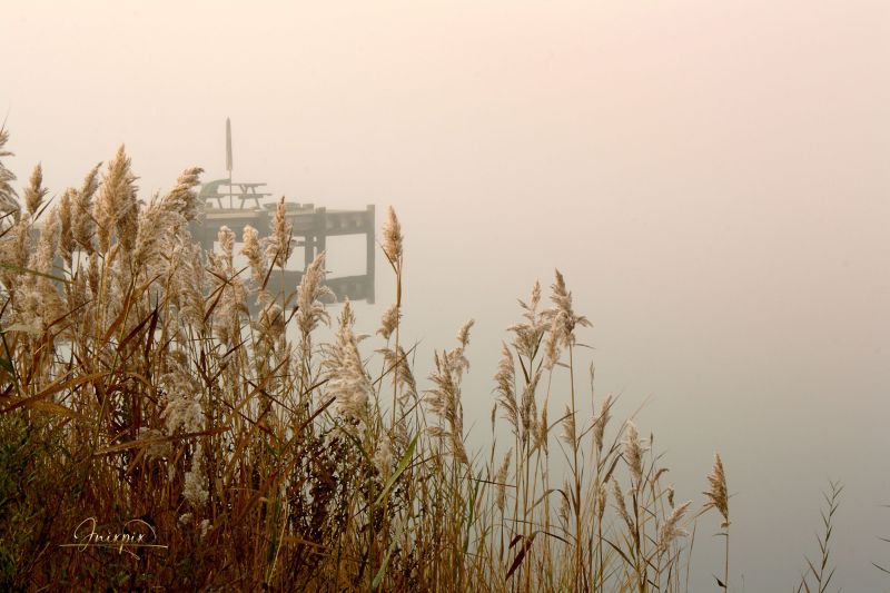 Chestertown Langford Bay